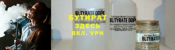 индика Саяногорск