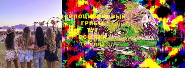 крисы Краснотурьинск