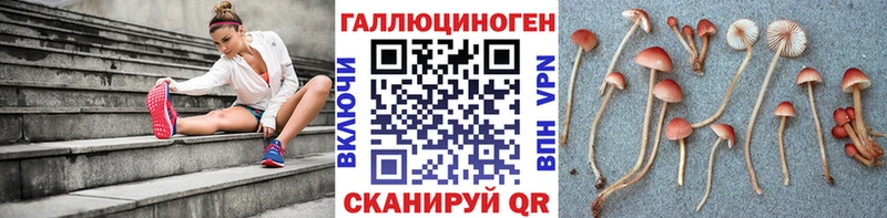 Галлюциногенные грибы Psilocybe  Шумиха 